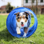 Preview: Agility Dog Trainings Set X für Hunde